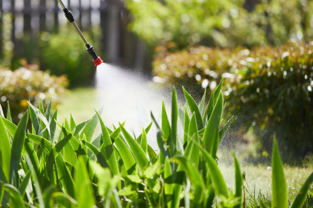 24/7 Emergency Mosquito Control experts in Keno, OR
